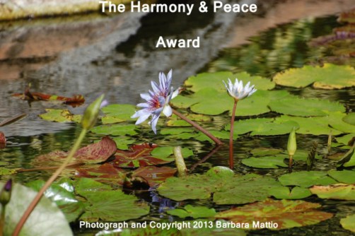 PeaceAward